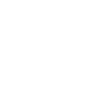 truck-variant-front-view-1.png
